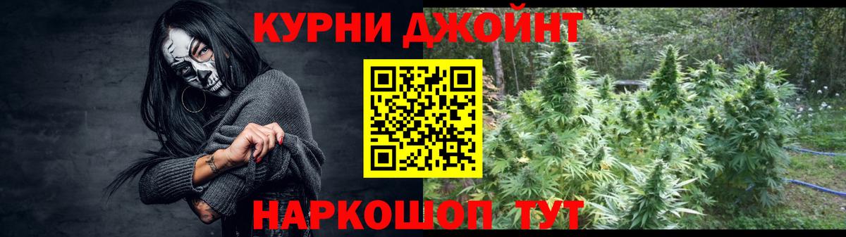 Каннабис конопля Кингисепп